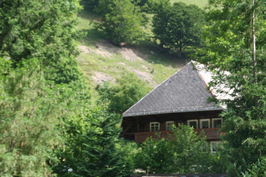 Hotel Gasthaus Hirschen Im Hochschwarzwald Todtnau Nahe Feldberg エクステリア 写真