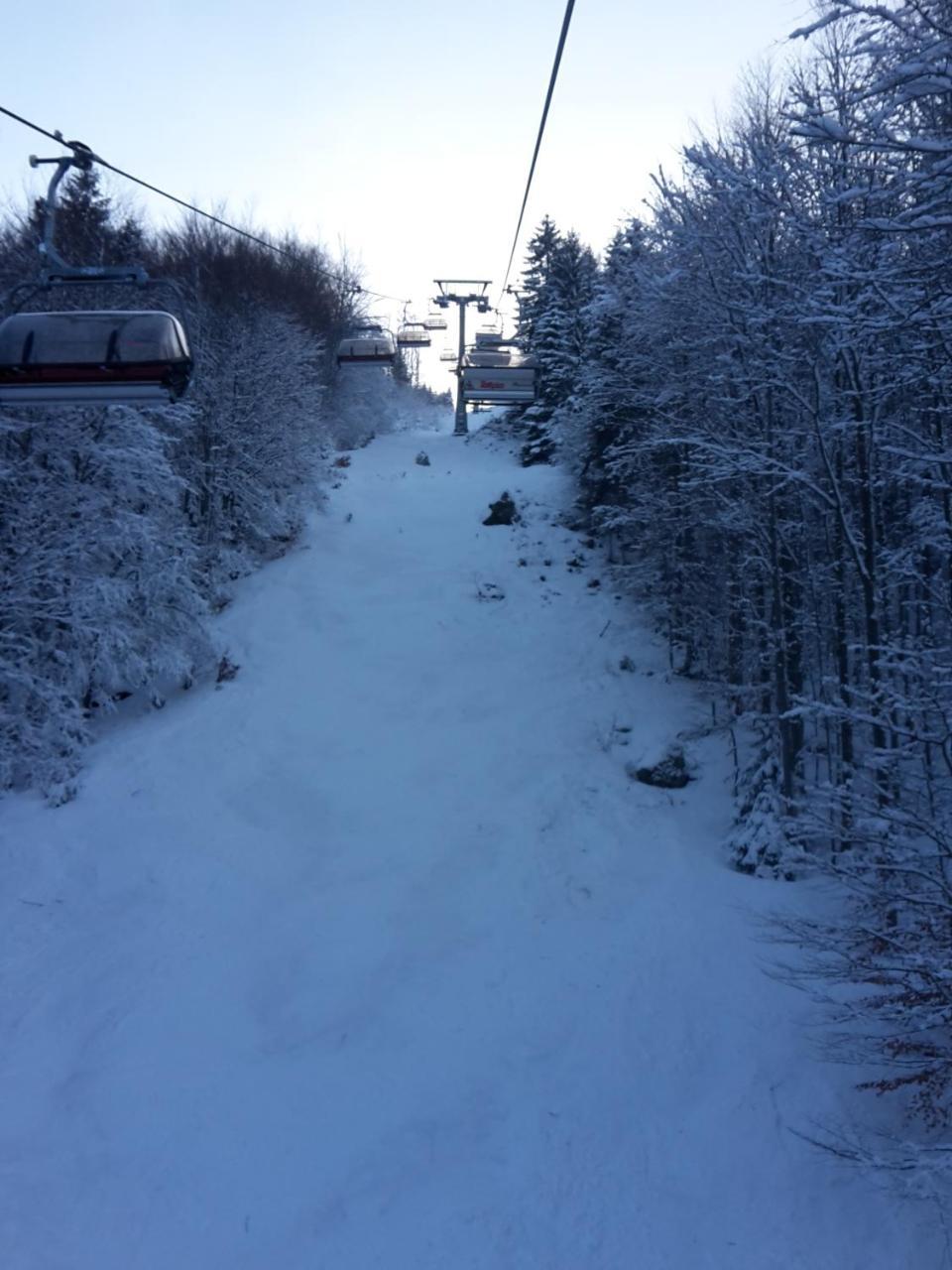 Hotel Gasthaus Hirschen Im Hochschwarzwald Todtnau Nahe Feldberg エクステリア 写真