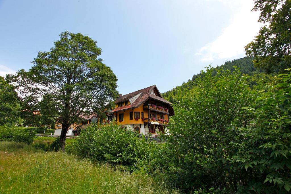 Hotel Gasthaus Hirschen Im Hochschwarzwald Todtnau Nahe Feldberg エクステリア 写真